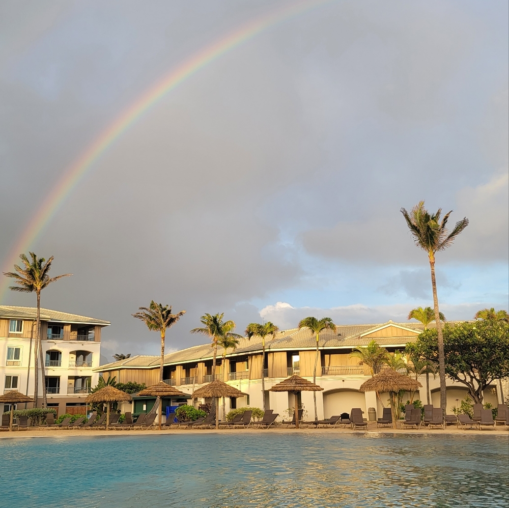 Meet your Posher, Chelsea